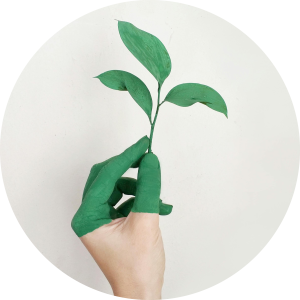 Eco Friendly